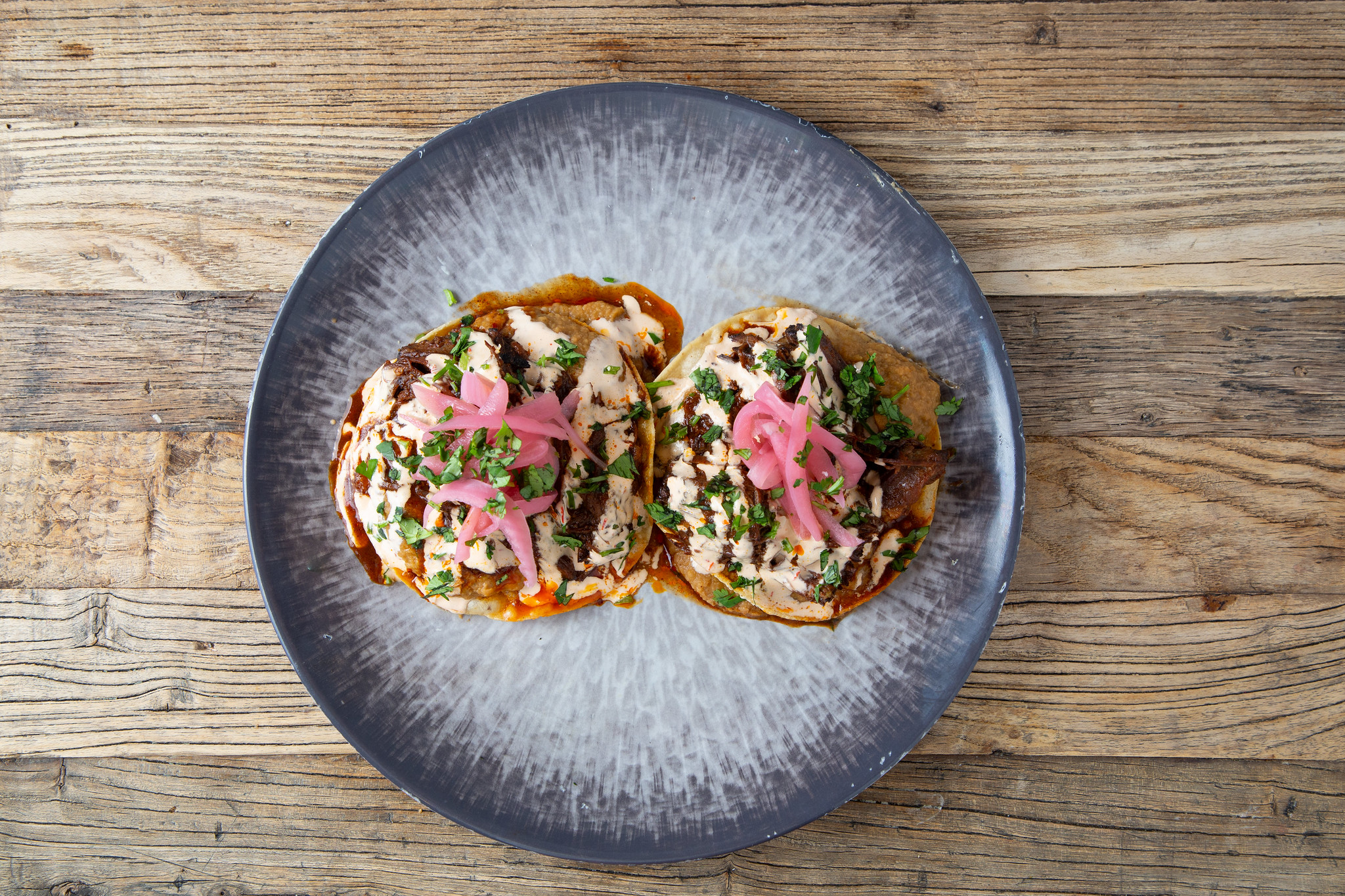 Fenix dish